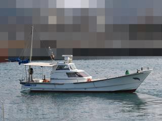 6628_201903150432053_5c8aa9954