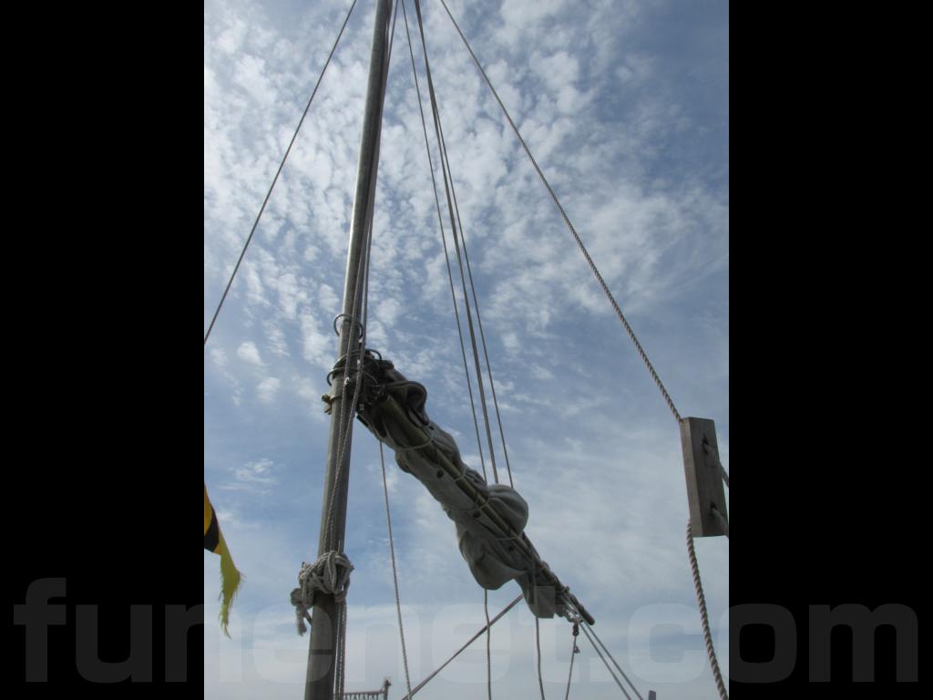 6798_201906041063650_5cf5cb32e 