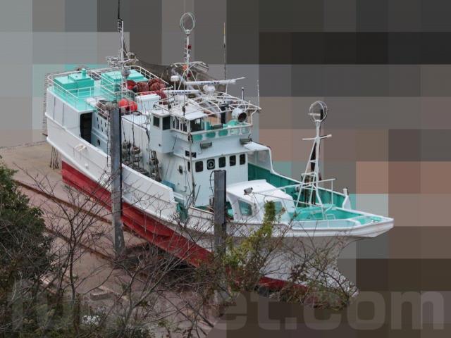 カタマラン漁船 - Kraken - Cheetah Marine - 船外機 / ツイン