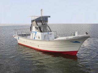 ヤンマー DE24DZ(とびうお)ドライブ艇 | 船ネット