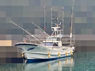 みすこずページ DY36/ DY37-02 ヤマハ DY36 | 船ネット