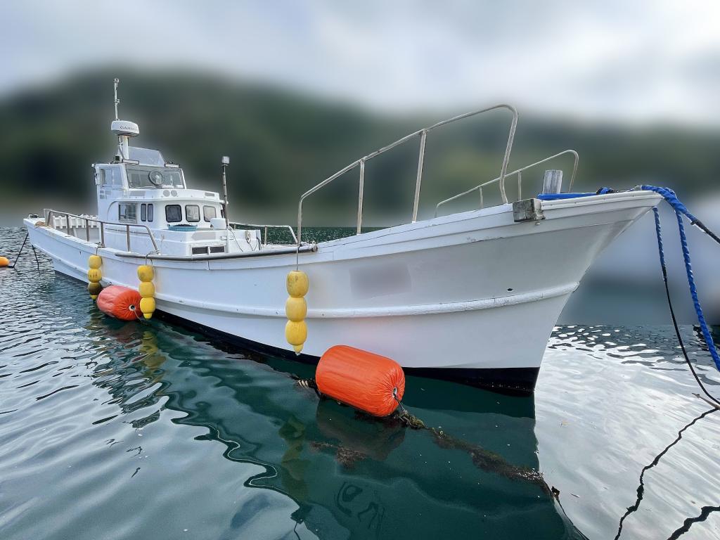 ヤマハ DY39 | 船ネット