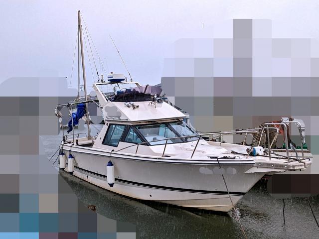 船 YAMAHA UF29 I/B 2004年式