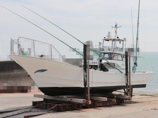 【現最安・未使用】陽気な副船長、チャム　CF 日本語　FAB 61E+xuLSVSL._UF350,350_QL50_.jpg