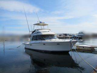 RIVIERA MARINE(AUS)  RIVIERA 33 Flybridge