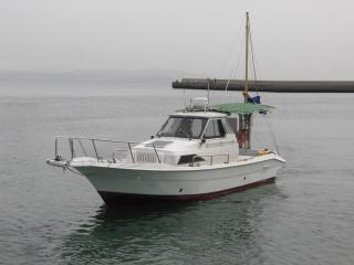 ヤンマー EX29Z(ドライブ艇)