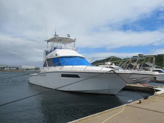 ヤマハ SF-38 MARIN-sport fisherman (FA7)