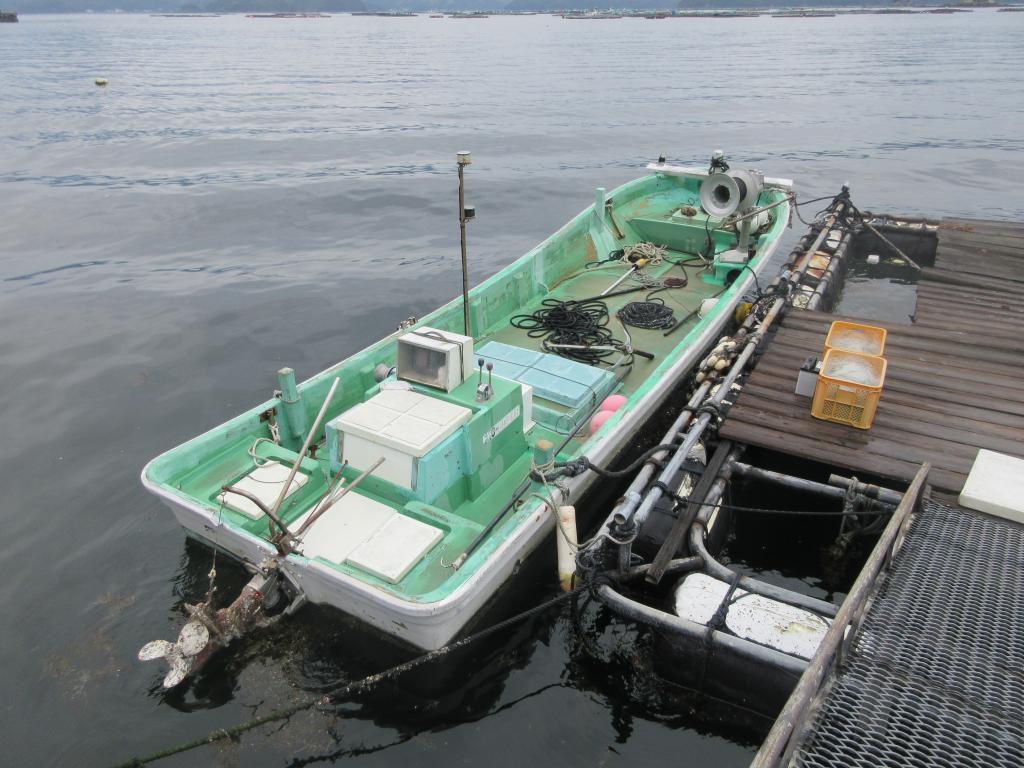 舟舟 10559_202508181084414_68a2856e