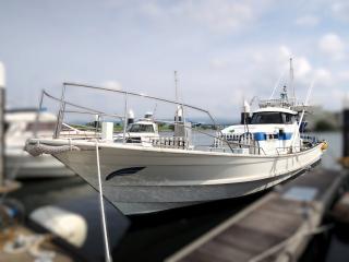 ヤマハ DY-53B-OA / GAF
