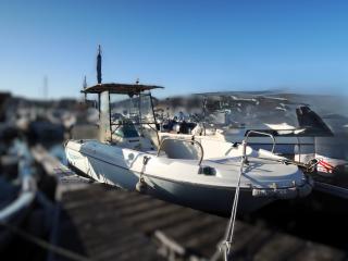 ヤンマー LF22Z-IS ◆係留権利付き◆