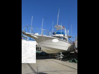 ヤマハ FC31  (GG3)