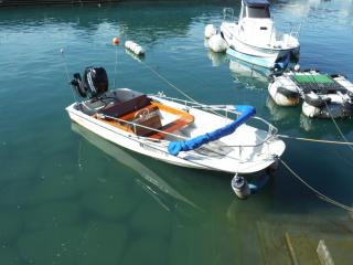 ボストンホエラー スーパースポーツ15