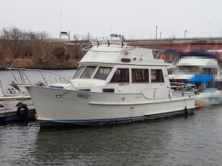 KONG&HALVORSON アイランドジブシー