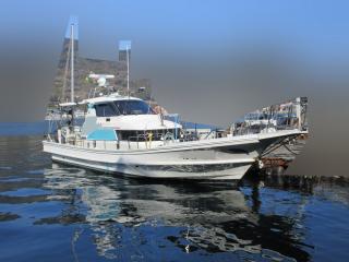 ヤマハ  DX39遊漁船