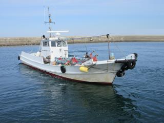 大一造船(引き網漁業船) 実長14.5m(いすゞエンジン533馬力搭載)