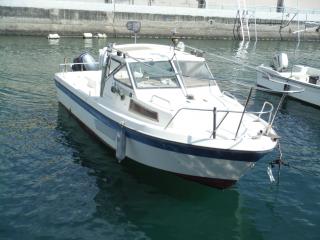 ミヤマ SF22 船外機仕様