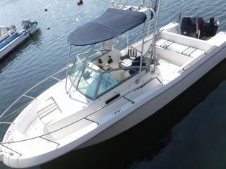 OMC ASIA オーシャンランナー233